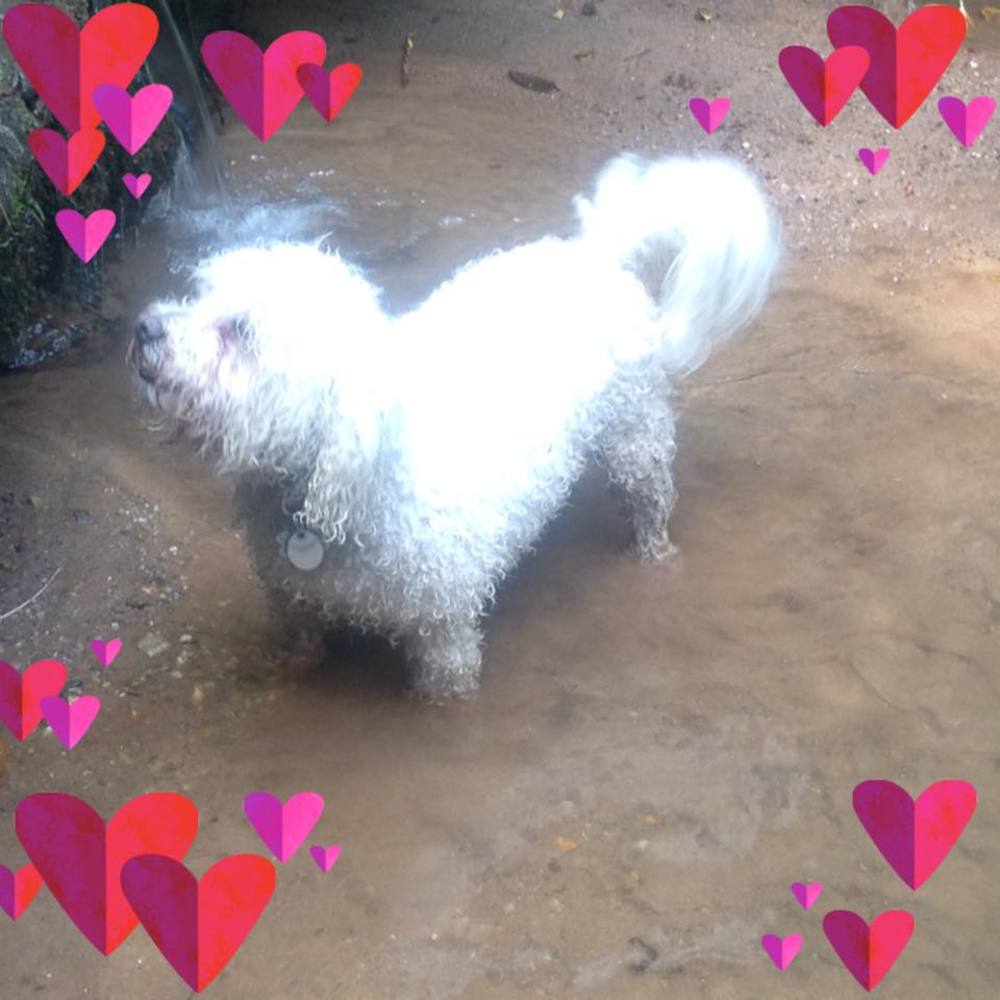 Meet your Posher, Gillian